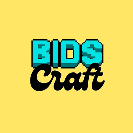 BIDS Craft